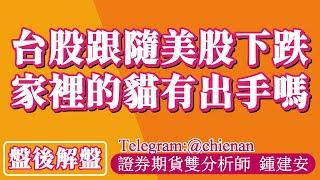 20241219【台股跟隨美股下跌家裡的貓有出手嗎】鍾建安盤後解盤