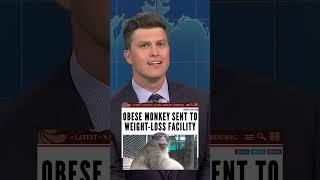 Colin Jost and the Obese Monkey 'SNL' Joke Swap #shorts #funny #comedy