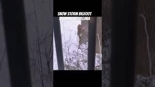 Snowstorm Bigfoot Sighting in Virginia #bigfoot #youtube #youtubeshorts #expeditionx #findingbigfoot