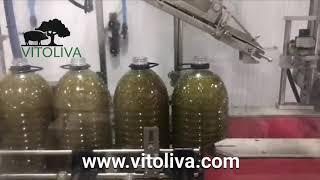 Aceites de Oliva Virgen Extra Sin Filtrar: MAJOLIVA