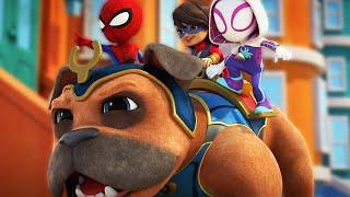 SPIDEY and His Amazing Friends | GIANT DOGGY!!! @Qdad