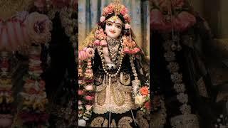 Radha Rani #radharani #radhakrishna #radheradhe #radha #shortsfeed #shorts #bhakti