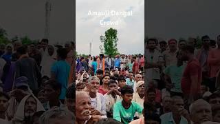 Amauli Dangal crowd #anandsingh #minivlog #dangal #amaulidangalcrowd #amaulikadangal #shorts