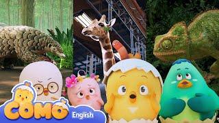 Curious Como SE2 | Fun Quiz series 30min | Cartoon video for kids | Como Kids TV