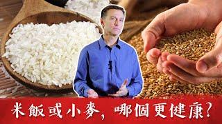 米飯小麥,哪個更健康?柏格醫生 Dr Berg