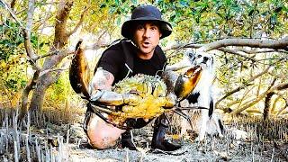 Catching GIANT MUD CRAB Barehanded For Food Living From The Ocean (Solo Remote Camping) - Ep 247