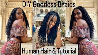 GODDESS BRAIDS : Tutorial With TWO WEEK UPDATE