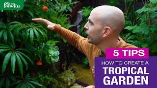 How to create a tropical garden | 5 TIPS to transform your garden