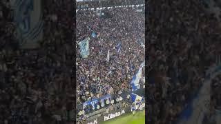 Schalke fans celebrating yesterday's last minute winner against Bremen #Shorts #schalke #football