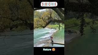 Dream Nature #youtubeshorts #ytshorts #vijushorts #dream #nature #viral #trending #shorts #love