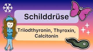 Hormone der SCHILDDRÜSE - Triiodthyronin, Thyroxin, Calcitonin