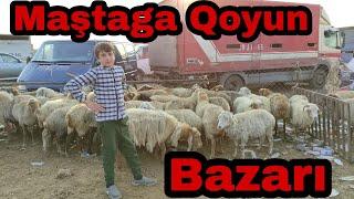 Maştaga Qoyun Bazarı