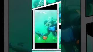 베짱이에서 베짱이 1호 타고 떠나는 바다 여행 #스쿠버다이빙 #베짱이다이브 #스쿠버 #drysuit #scubadiving #고성다이빙