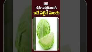 కఫం తగ్గటానికి ఇదే సరైన మందు | Coriander Improves Digestion | CVR Health