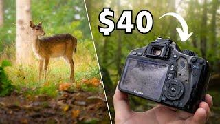 Using a low-budget Camera for Nature Photography (POV)