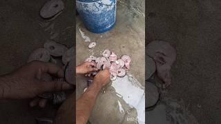  easy fish cleaning..