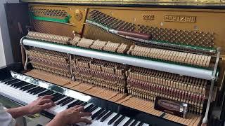 Ereizen upright piano demo video