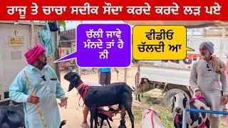 ਰਾਜੂ ਤੇ ਚਾਚਾ ਸਦੀਕ ਸੌਦਾ ਕਰਦੇ ਲੜ ਪਏ  | Tungwali bakra mandi #goatfarming #bakramandi #farming #goats