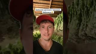 Сельские делишки приносят баблишки Собираем ромашку #villagelife #дача#village#деревня#травы