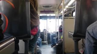 The Wave Transit