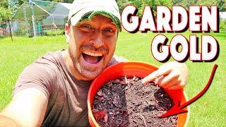 Worm Castings! The EASIEST and Laziest Way To Make TONS Of This Gold For Your Garden!