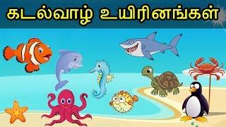 கடல்வாழ் உயிரினங்கள் - Sea Animals Name Tamil - KidsTv Sirukathaigal