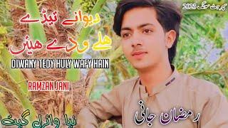 Diwany tedy holy wady hain | Singer Ramzan Jani | Saraiki viral song 2023