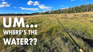 Fishing a RIDICULOUSLY Tiny Mountain Meadow Creek! (Tenkara Fly Fishing)