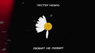 Честер Небро — Любит не любит