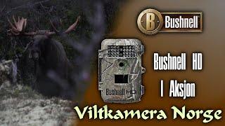 VILTKAMERA I AKSJON | Bushnell HD