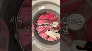 세탁소 사장님이 알려준 신발세탁 꿀템