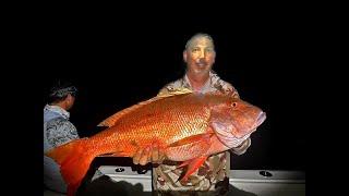 Fishing the Dry Tortugas for an EASY Limit of Red Snapper!! *Catch, Clean, Cook*