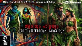 Mitochondrial Eve & Y- Chromosomal Adam