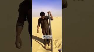 POSTES EN EL DESIERTO #shorts #viralvideo #curiosidades