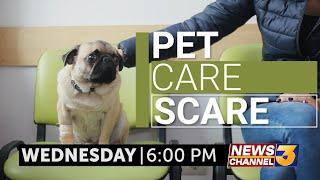 Special Report: 'Pet Care Scare' - Wednesday at 6PM on News Channel 3