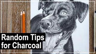 Drawing a Pupper in Charcoal (Tips and Rambles)