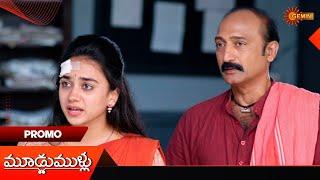 Moodu Mullu- Promo | 10 Jan 2025  | Telugu Serial | Gemini TV