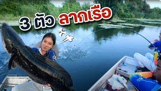 จุดเดียว 3 ตัว ลากเรือหมุน หลายรอบ | เด็กตกปลา