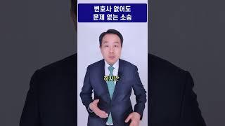 변호사 김주형 - 변호사 없이 혼자 해도 되는 소송