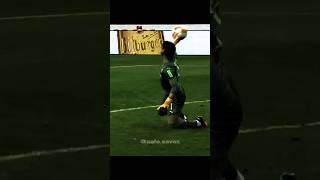 Yann Sommer Best Saves Ever️