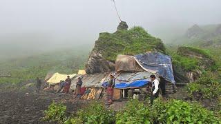 Naturally Beautiful And Peaceful  Village Daily Lifestyle in Summer । How to People Live in Jiree