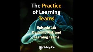 Episode 16: Mini Learning Team -  Dynamic Risk and Learning Teams