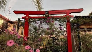 DIY Japanese Torii gate