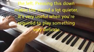 CDP1 Piano For Sale