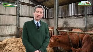 Teagasc Future Beef Launch - Joe Ryan, Meat Industry Ireland