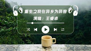 重生之我在异乡为异客 - 王睿卓「那远山呼唤我 ，曾千百次路过」【动态歌词】