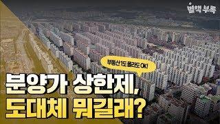 [별책부록] '민간택지 분양가 상한제'를 하면? 집값이 내려가나요? / YTN