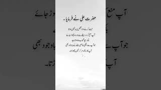 Urdu poetry video ️‍🩹 #poetry #shorts #quotes #urdupoetry #deeplines