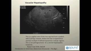 Veterinary Ultrasound Training - K9 Liver Pathologies