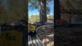 Heavy garden train #locomotive #railroad #locomotive #norfolksouthern #Train #gardenrailway #rail